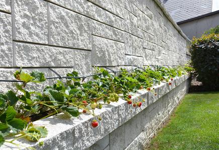 23_Plná plotová zeď s kapsou na osázení rostlin - barva: bílá, povrch: štípaný